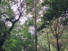 -云丘山景区