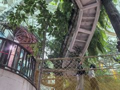 -正佳雨林生态植物园