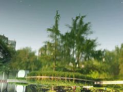 android_upload_pic-南馆公园