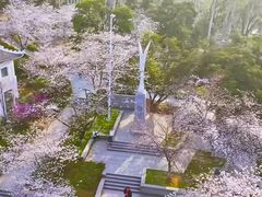 -武汉大学-樱园