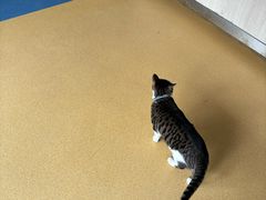-宠颐生宠物医院·综合诊疗(先锋分院)