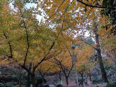-白马涧龙池景区