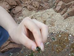 -青岛第三海水浴场