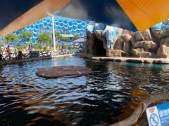 -华夏文旅海洋公园