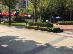 -苏州河梦清园环保主题公园