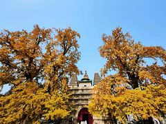 -北京石刻艺术博物馆(五塔寺)
