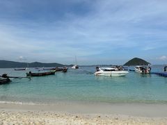 -珊瑚岛