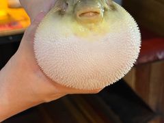 -永安鱼庄·镇江菜(丁卯店)