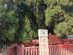 -四门塔风景区