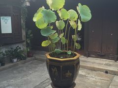 -载阳客栈