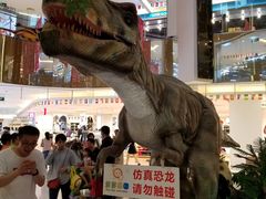 -北京华联购物中心(同成街店)