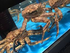 -麦德龙(郑东店)