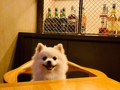 -JUJU韩式烤肉·干杯小酒馆