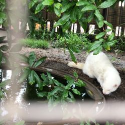 -三分地生态园·儿童乐园