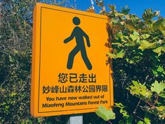 -阳台山自然风景区