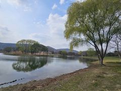 -长广溪湿地公园