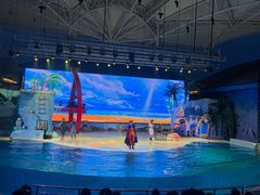 -三亚海昌梦幻海洋不夜城