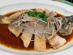 清蒸鲈鱼-北平盛世·新京菜·北京烤鸭(劲松·双井店)