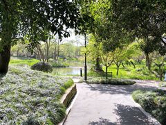 -西溪国家湿地公园