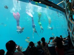 -瑞德姆美人鱼海底演艺主题餐厅(亚龙湾店)