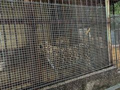 -昆明动物园