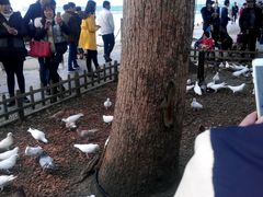 -良子足浴(湖滨店)