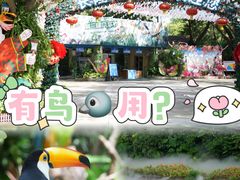 -广州长隆飞鸟乐园