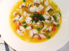 -青花椒花椒鱼(合生汇店)