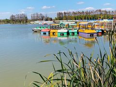 -上海长兴岛郊野公园