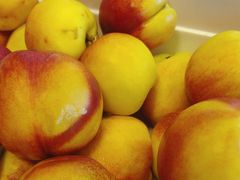 -蒙都43°9羊火锅·赤峰美食(宁城店)