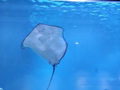 -石家庄海洋公园