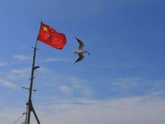 -青岛沙子口国家中心渔港