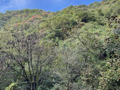 -西安祥峪森林公园