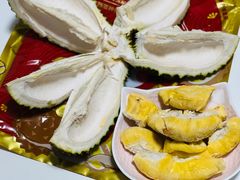 -百果园PAGODA(沿海赛洛城店)