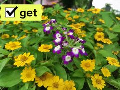 -广东花都香草世界旅游度假区