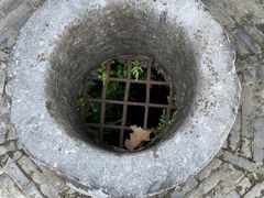 -上海佘山国家森林公园天马山园