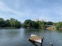 -荔湾湖公园