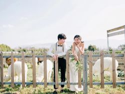 -太古映画婚纱摄影(天河店)