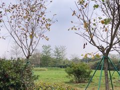 -广州国际生物岛山地公园揽胜园