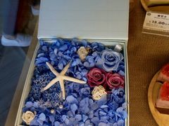 -倾城密码(大唐店)