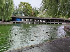 -团结湖公园