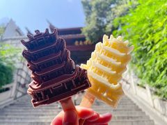 -黄鹤楼公园(黄鹤楼)