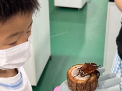 -上海大自然野生昆虫馆(东方明珠·爬宠昆虫探索中心)