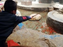 -zoonana室内动物园(东方福来德店)