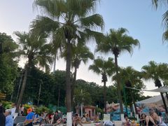 -重庆海昌加勒比海水世界