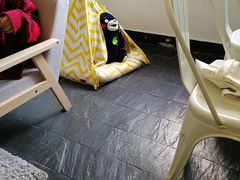 -阿狗圆子