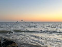 -老虎石海上公园