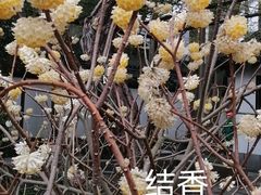 -上海方塔园