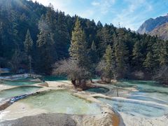 -茶百道(京溪店)