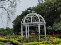 -鹅湖玫瑰文化园